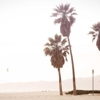TruePath Injury Attorneys gallery