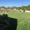 Forever Green Turf Solutions LLC gallery