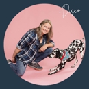 Go Anywhere Dog - Puppy Training School - Dog Training