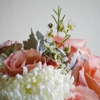 DAYLAN PHOTOGRAPHY (Central Florida) gallery