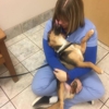 Deer Park Veterinary Hospital gallery