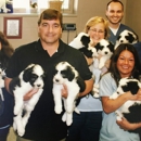 Ash  Creek Animal Hospital & Spa - Veterinary Clinics & Hospitals