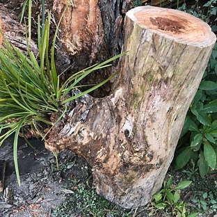 Treecycled - Moruya, NSW
