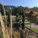 Rolling Hills Nursery - Nurseries-Plants & Trees