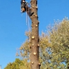 Jases Tree Service gallery