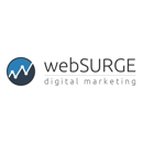 webSURGE - Web Site Hosting