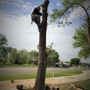 Montgomery Tree Service