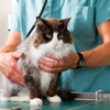 Banfield Pet Hospital gallery
