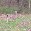 Nathan Bedford Forrest State Park - Tourist Information & Attractions