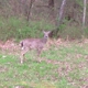 Nathan Bedford Forrest State Park