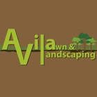 Avila Lawn & Landscaping