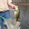 Louisiana Pond Management gallery