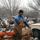 Lumberjack Joe's - Tree Service