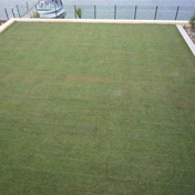 Gallery Image Number 3
