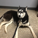 Village Pet Hospital - Veterinarians