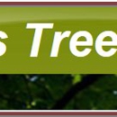 Pinellas Tree Service - Tree Service