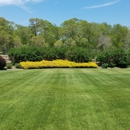 Pat Flores Landscaping and Pond Design - Landscaping & Lawn Services