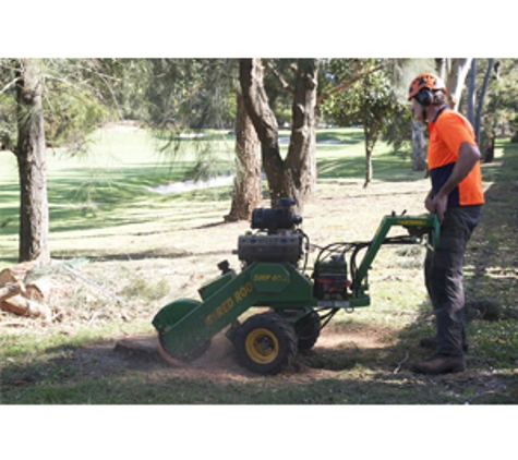 Treevolution Pty Ltd - Five Dock, NSW