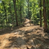 MBP Land Clearing gallery