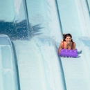 Toboggan Racers - Tourist Information & Attractions