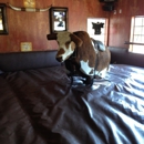 El Dorado Saloon & Grill - Bars