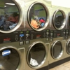 Big Laundry gallery