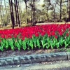 Brookgreen Gardens gallery