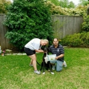 Obedience Dog Training - Dog Training