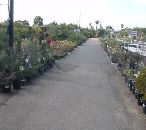 Moneta Nursery Inc. - Gardena, CA