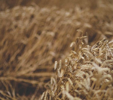 Southern Stockfeeds - Loddon, VIC