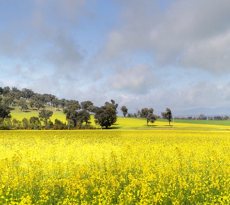 Baillie Simpson - Cowra, NSW