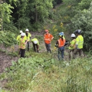 Rogue Tree Solutions - Tree Service