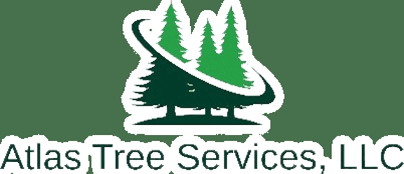 Atlas Tree Services, LLC - Marietta, GA
