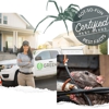 Greenix Pest Control gallery