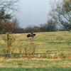 TopLine Equestrian Center gallery