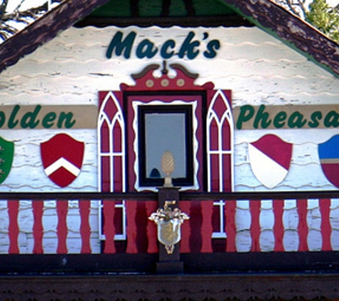 Mack's Golden Pheasant - Elmhurst, IL