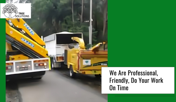 Tree Solutions - Rainbow Flat, NSW. We Are Professional, Friendly, Do Your Work On Time
