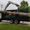 Reynolds Tree Service gallery