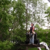 Olson  Tree Services, Incorporated gallery