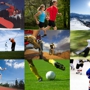 Sport & Fitness Transformations