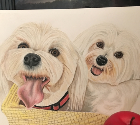 Pet Portraits by Rebecca - Hudson, FL