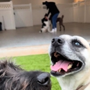 Paws 'n' Rec - Bentonville
