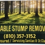 Affordable Stump Removal