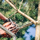 Castro's Tree and Lawncare Services Corp - Tree Service