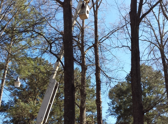 Abrasive Tree Service - Florence, MS