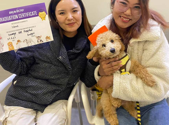Orange Veterinary Hospital - Orange, NSW