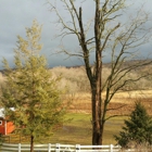 Stella's Barn and Boarding