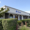 Allstate Insurance: Stephanie Fox gallery