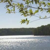 Alum Creek State Park gallery