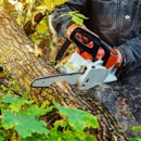 D&D Tree and Landscape Services - Tree Service
